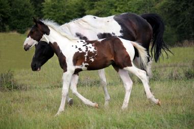 H&eacute;lios, 14 et 16 Ao&ucirc;t 2017