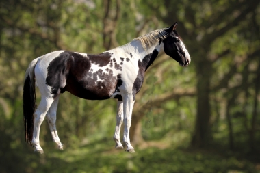 <b>H&eacute;lios, 4 ans, octobre 2021</b>                  