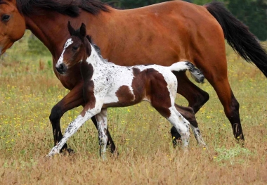 Vision 2009, naissance &agrave; 3 semaines