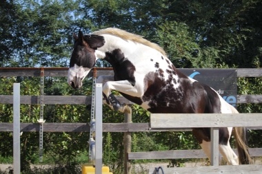 <b>H&eacute;lios, 4 ans, octobre 2021</b>                                                