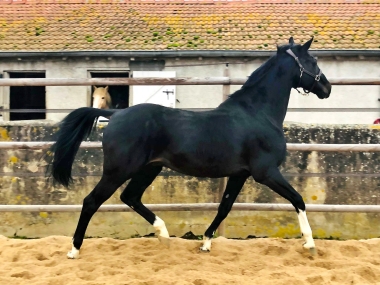 <b>Rolf des Grez photo priv&eacute;</b>                 