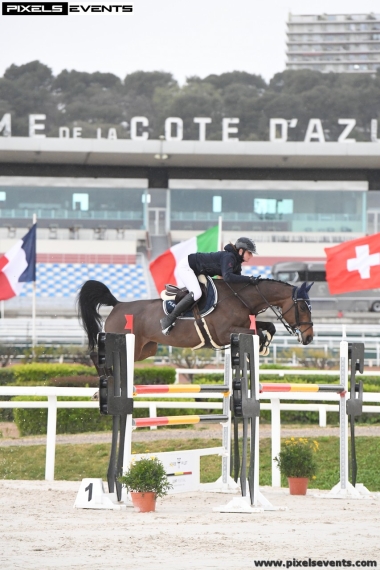 Um&eacute;a de Pl&eacute;ville SF