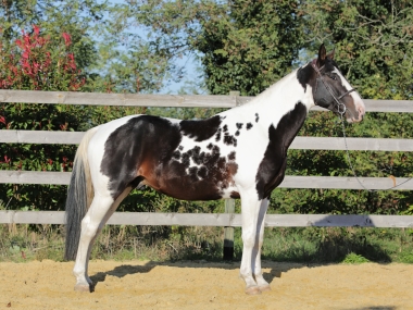 <b>H&eacute;lios, 4 ans, octobre 2021</b>                      