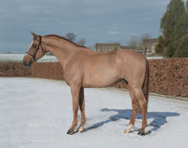 Ideal Ste Hermelle SF