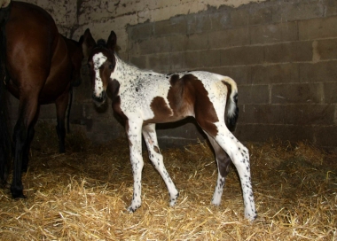 Vision 2009, naissance &agrave; 3 semaines