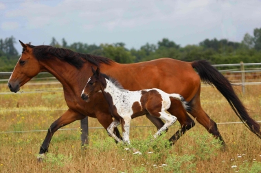 Vision 2009, naissance &agrave; 3 semaines