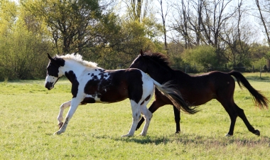 <b>H&eacute;lios, 3 ans, avril 2020</b>                                                     