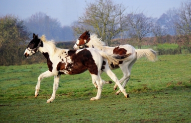H&eacute;lios bient&ocirc;t 8 mois, D&eacute;cembre 2017