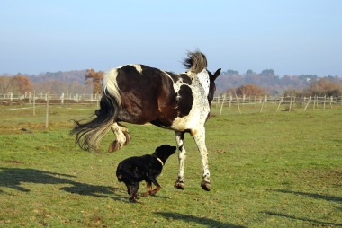 Vision D&eacute;cembre 2015 et en 2016
