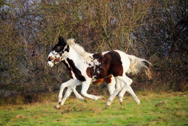 H&eacute;lios bient&ocirc;t 8 mois, D&eacute;cembre 2017