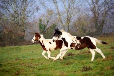 H&eacute;lios bient&ocirc;t 8 mois, D&eacute;cembre 2017