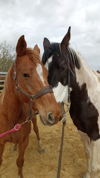 <b>H&eacute;lios, 6 ans, avril 2023</b>          