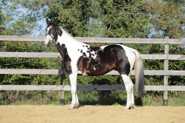 <b>H&eacute;lios, 4 ans, octobre 2021</b>                              