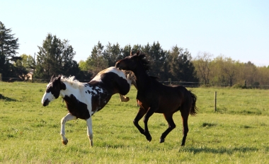 <b>H&eacute;lios, 3 ans, avril 2020</b>                                                     