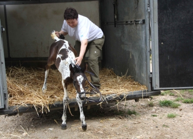 Vision 2009, naissance &agrave; 3 semaines