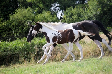 H&eacute;lios, 14 et 16 Ao&ucirc;t 2017