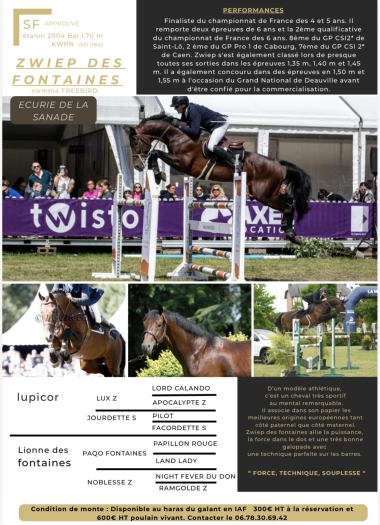 ZWIEP DES FONTAINES KWPN