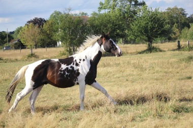 <b>H&eacute;lios, 2 ans, ao&ucirc;t 2019</b>                                                         