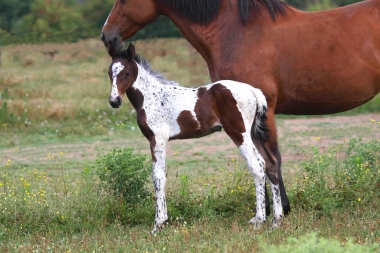 Vision 2009, naissance &agrave; 3 semaines