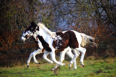 H&eacute;lios bient&ocirc;t 8 mois, D&eacute;cembre 2017